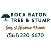 Boca Raton Tree and Stump image 1